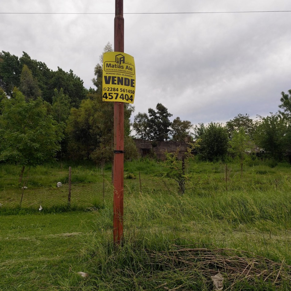 LOTE EN COLONIA HINOJO