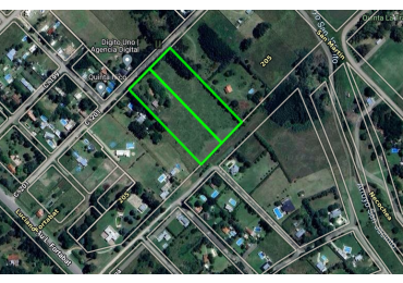 2 HECTAREAS ZONA DE QUINTAS